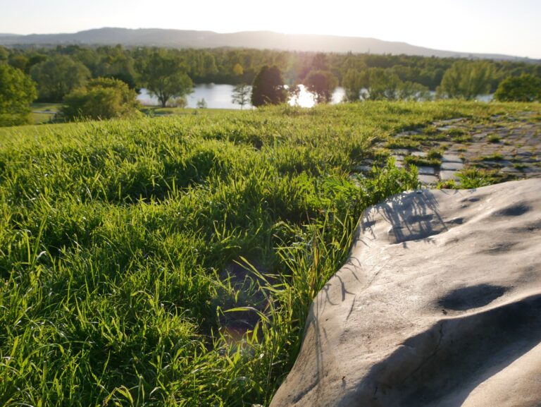 Wandern in Kassel - Grüne Wiese mit See im Hintergrund